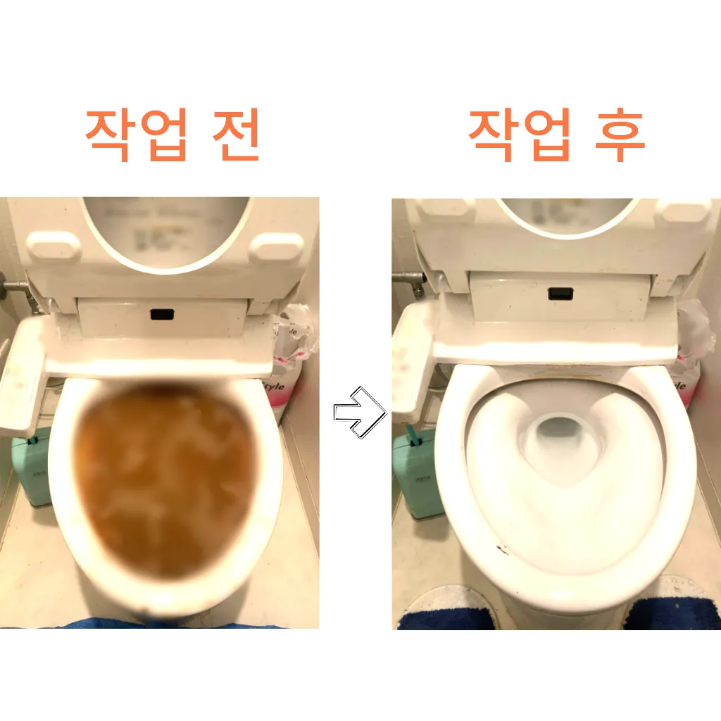 변기막힘